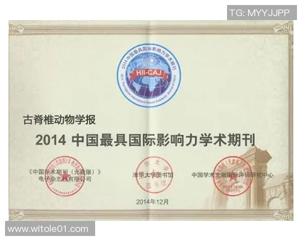 探索足球形状的奥秘与魅力揭示其在运动中的重要性与影响力 探索足球形状的奥秘与魅力揭示其在运动中的重要性与影响力