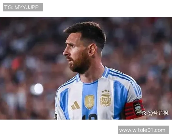 足球再见：在绿茵场上挥别青春与梦想的旅程