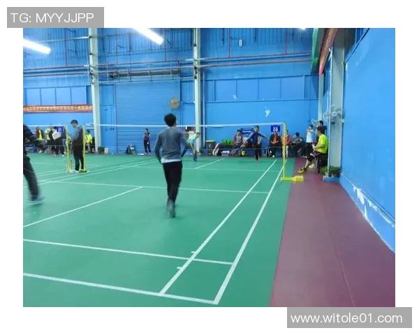 羽毛球的魅力与技巧揭秘:深入北京羽毛球队的训练与战术分析 羽毛球的魅力与技巧揭秘:深入北京羽毛球队的训练与战术分析