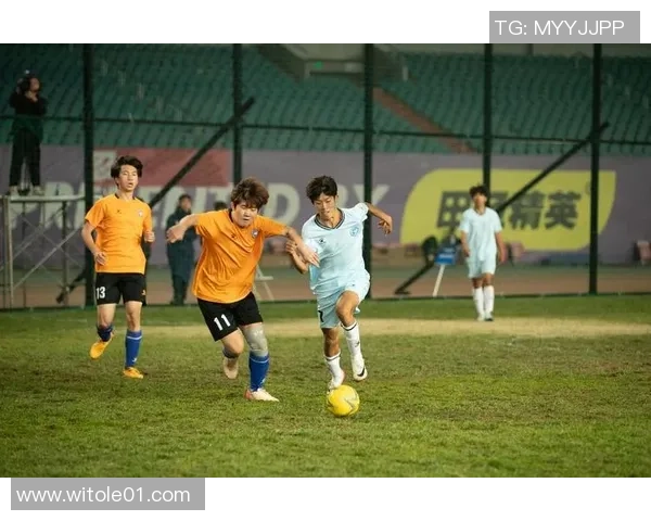 足球大麦的崛起与发展探索如何推动中国足球的未来与创新 足球大麦的崛起与发展探索如何推动中国足球的未来与创新