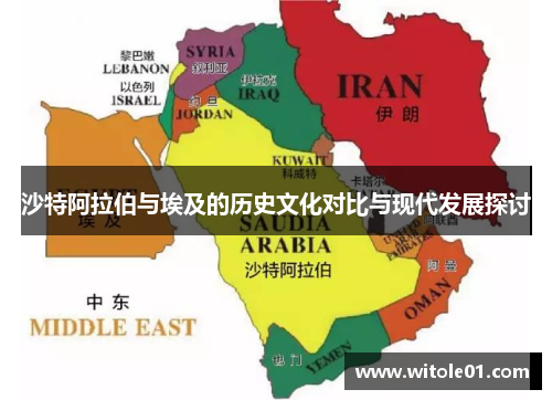 沙特阿拉伯与埃及的历史文化对比与现代发展探讨